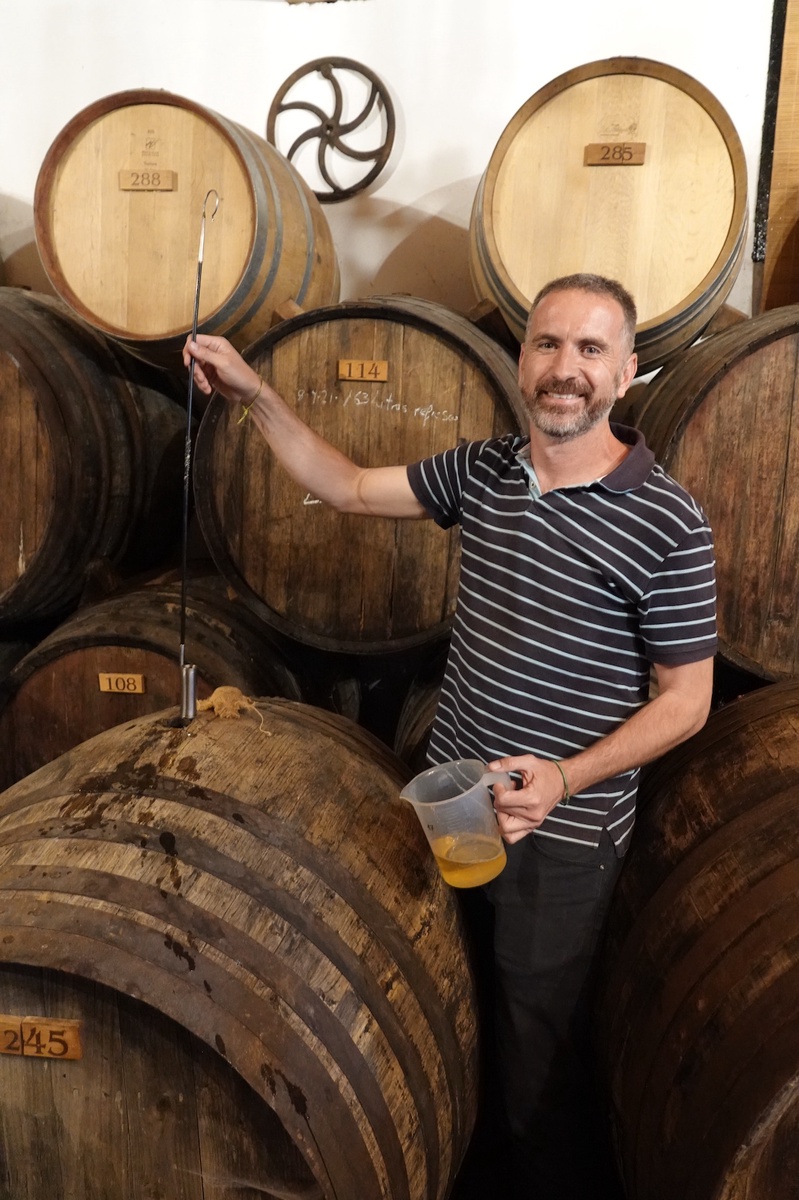 Viñedos Verticales La Raspa Blanco | Matthys Wines